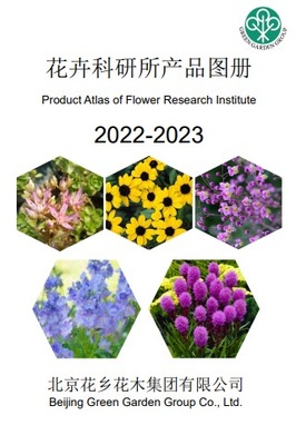 免費(fèi)制作翻頁電子書、電子畫冊和電子雜志的高效工具推薦